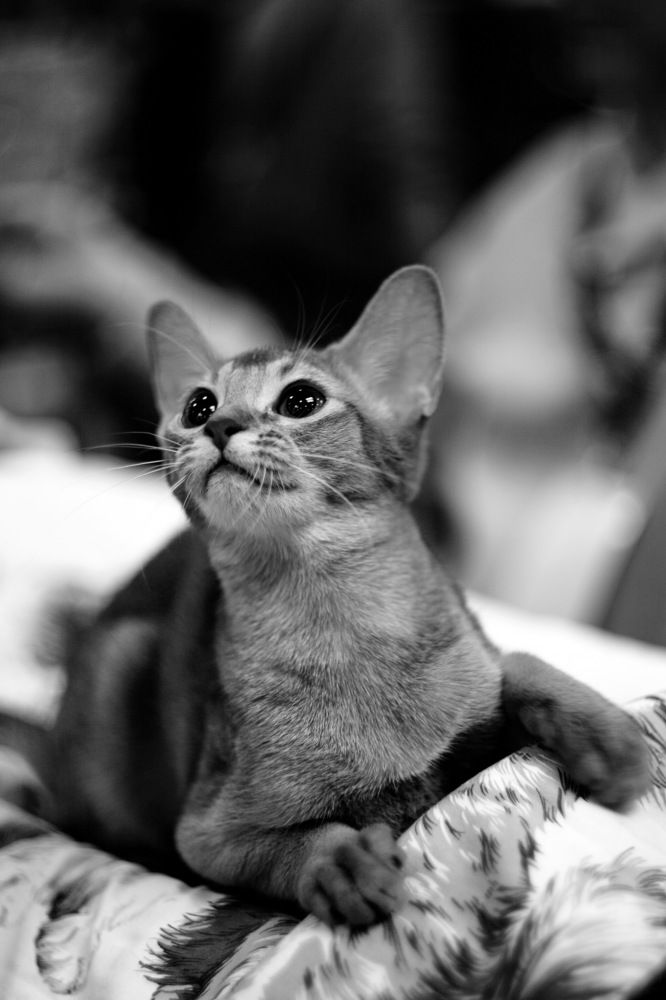 Photograph by Константин Лагоденко