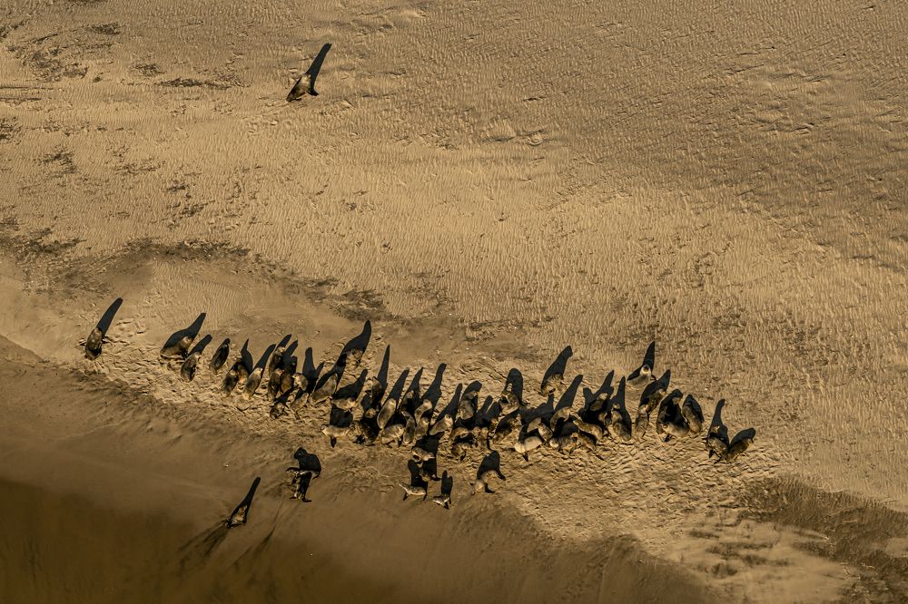 Фотография автора Fikriye Er