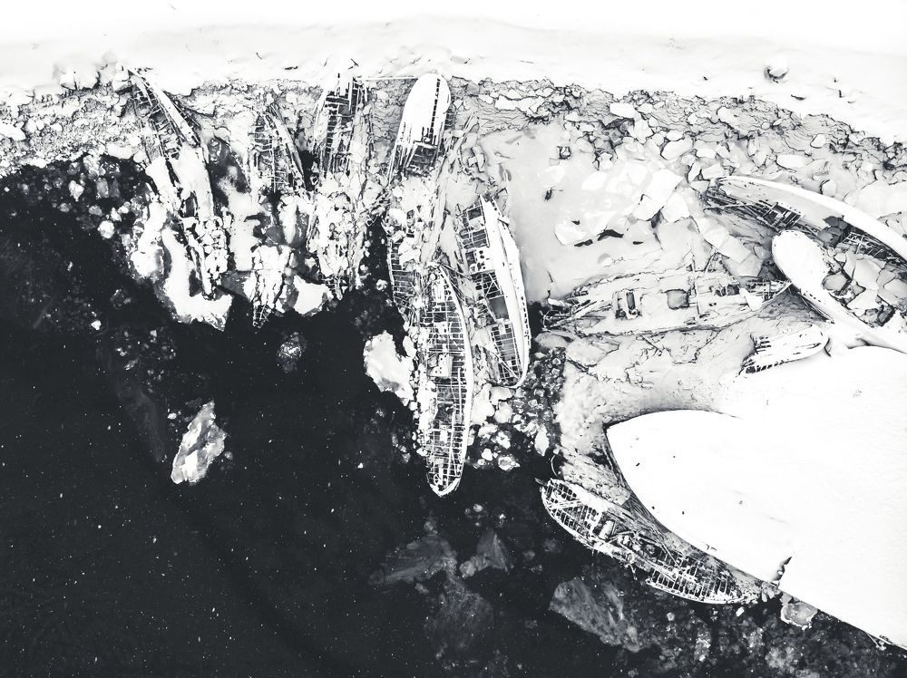 Подснежники