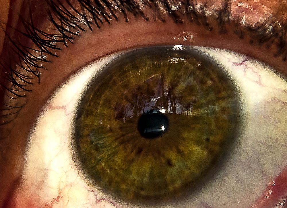 Photograph by Rubén Bermejo Cañas