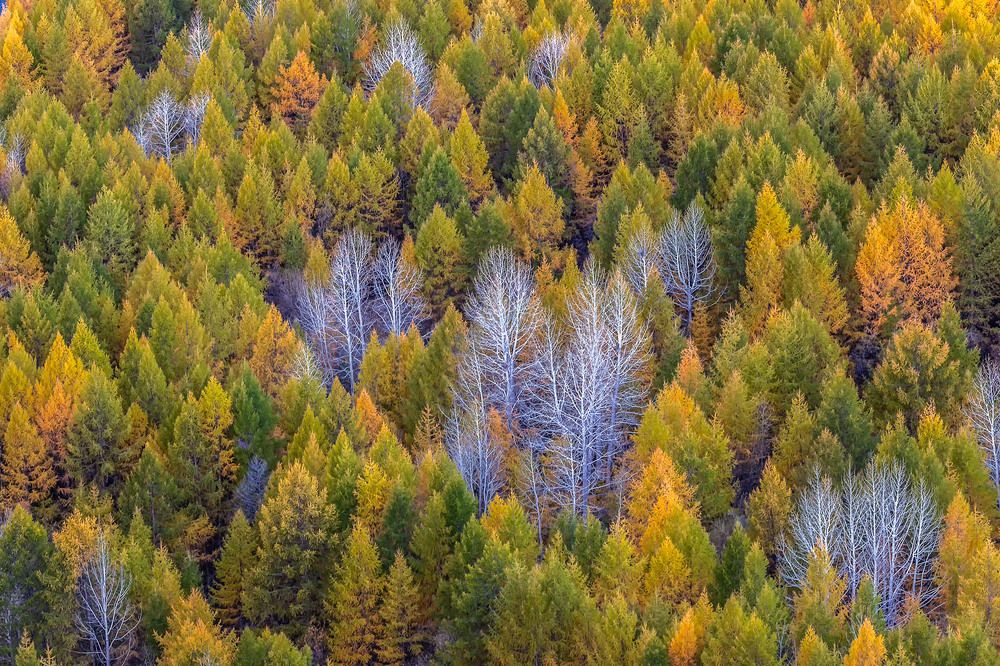 Фотография автора Елена Маковоз