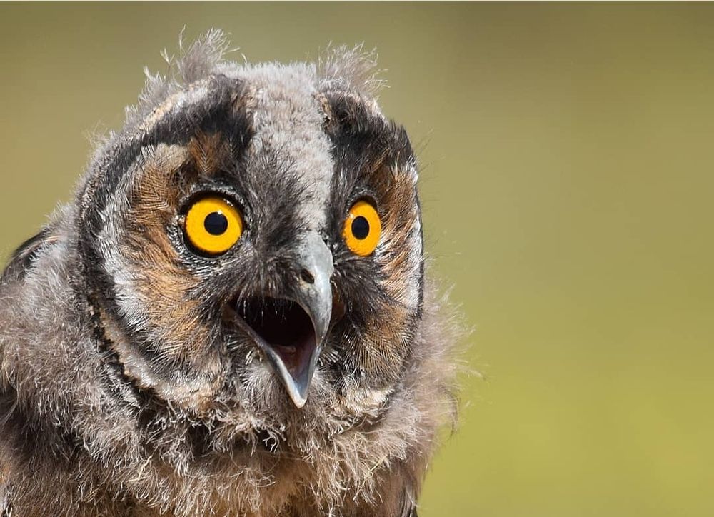 Photograph by Sohrab Niazi