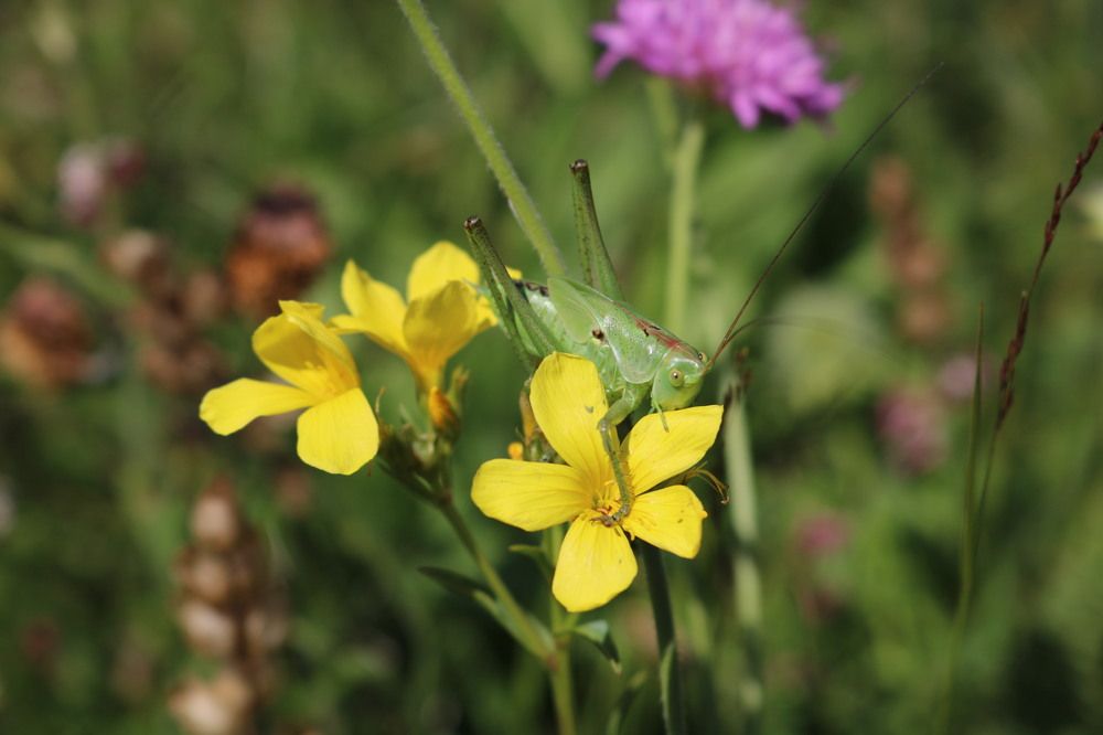 Photograph by Алексей Резниченко