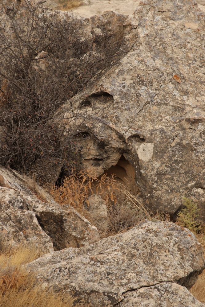 Photograph by OSSETROVA Eugeniya