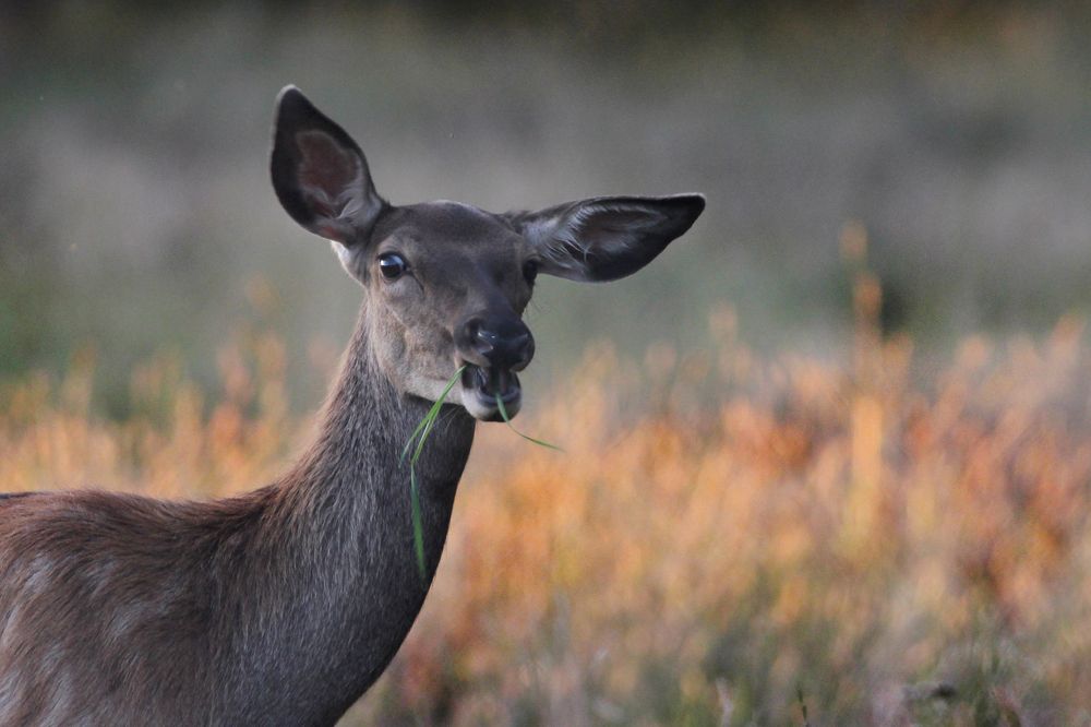 Photograph by Anna Suchcicka