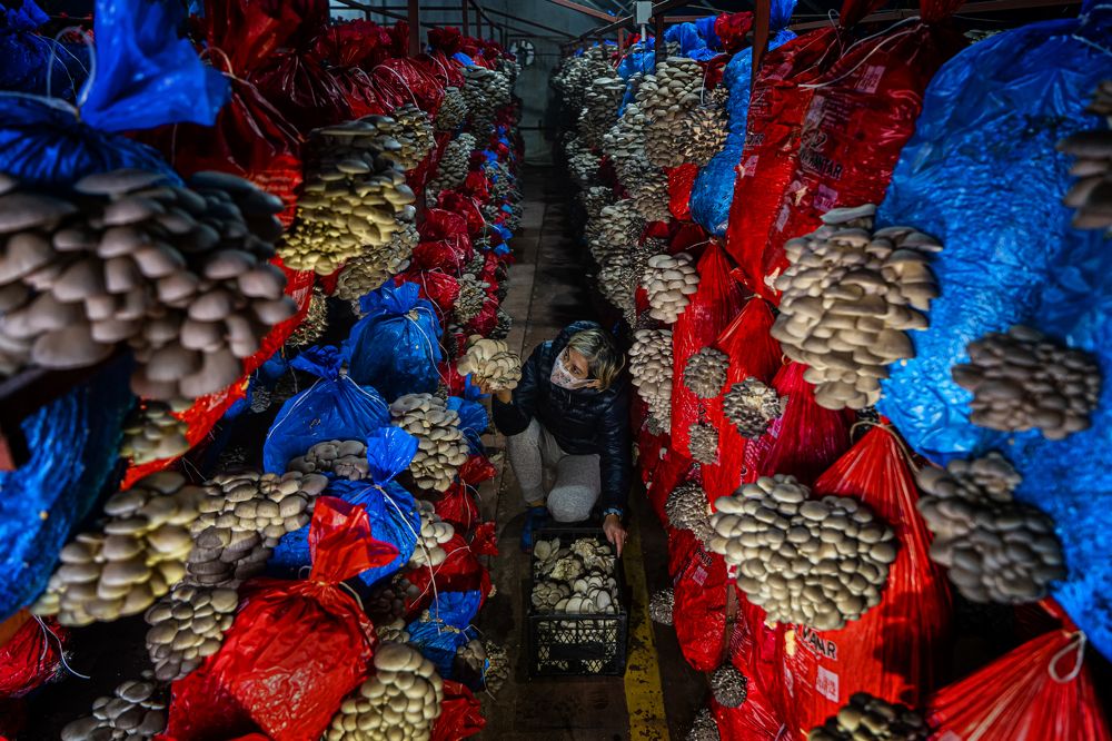 Фотография автора Fikriye Er