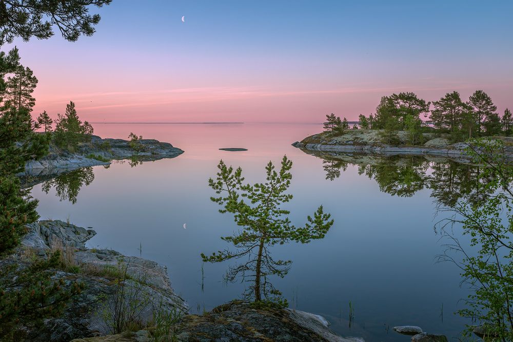 Фотография автора Елена Маковоз