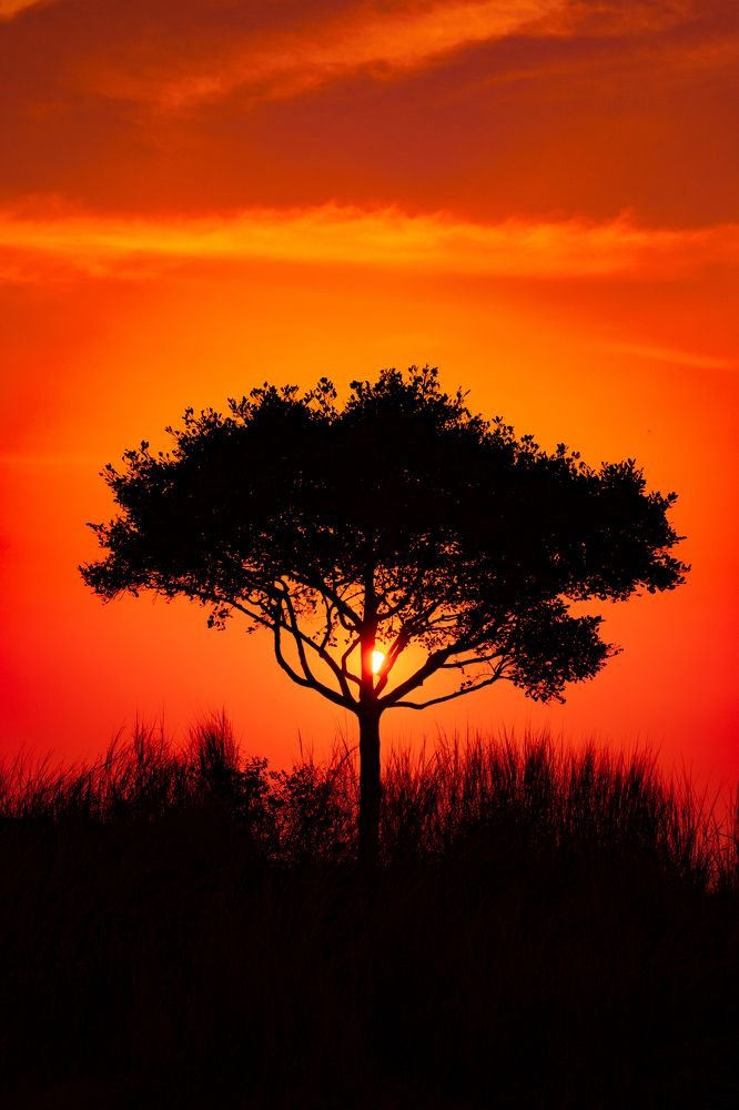 Photograph by Jyothir