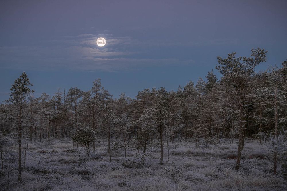 Фотография автора Елена Маковоз