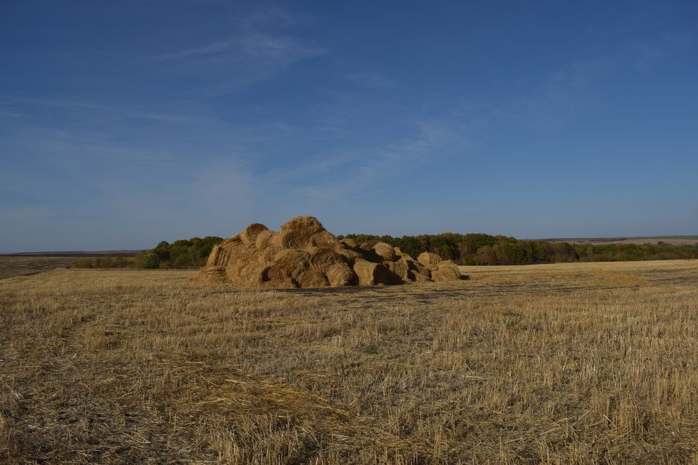 Photograph by Наталия Чайка