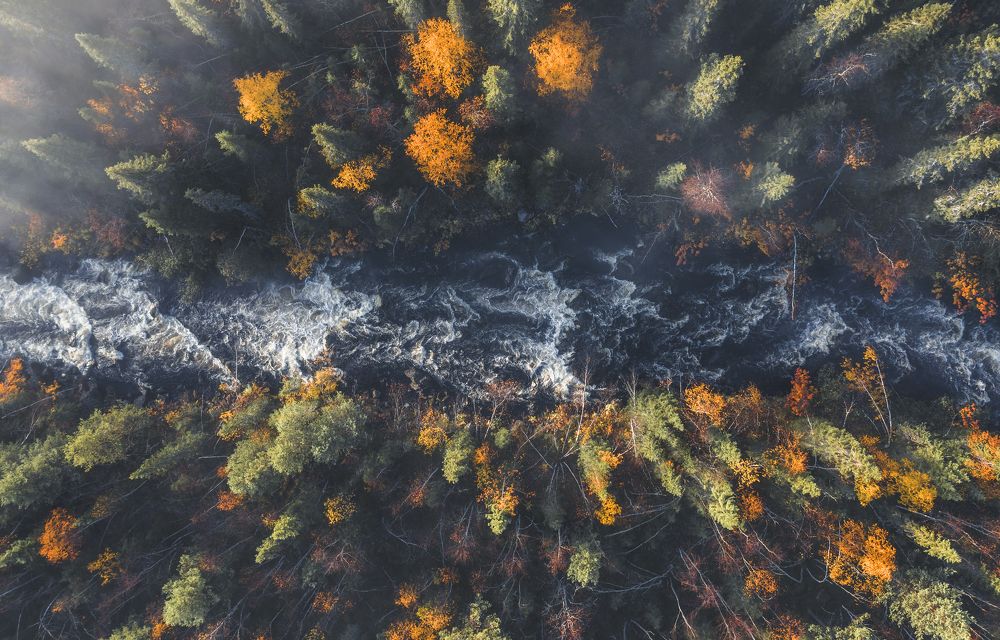 Photograph by Андрей Сачков