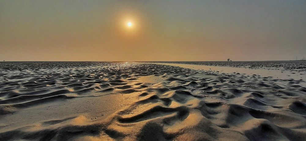 Photograph by Rahul Karmakar