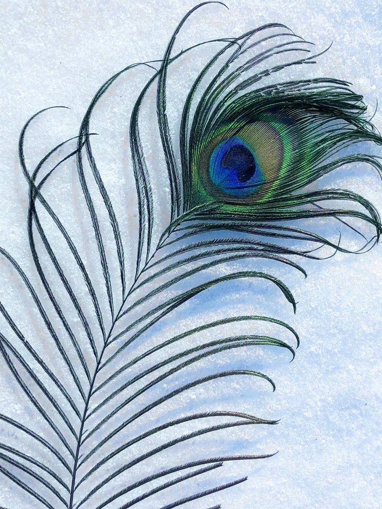 Кто потерял красоту?