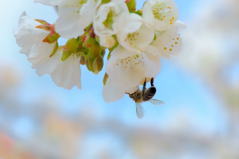 Закон притяжения