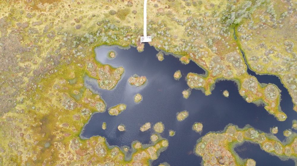 Photograph by Алексей Резниченко