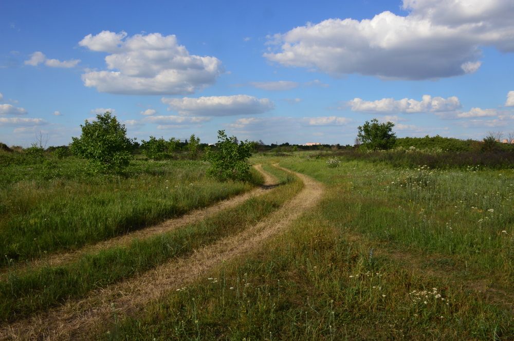 Photograph by Юрий Солодовников