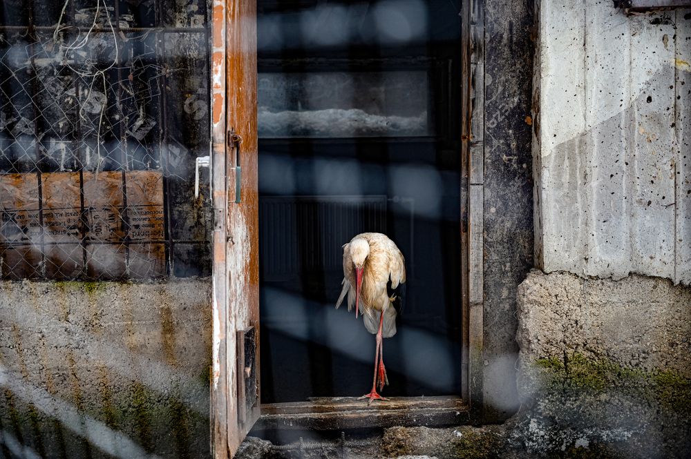 Фотография автора Ковяк Сергей Васильевич