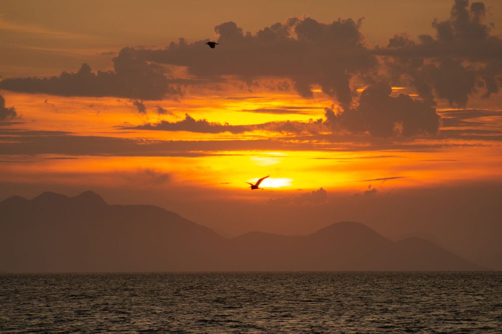 Photograph by Arnaldo Andrade