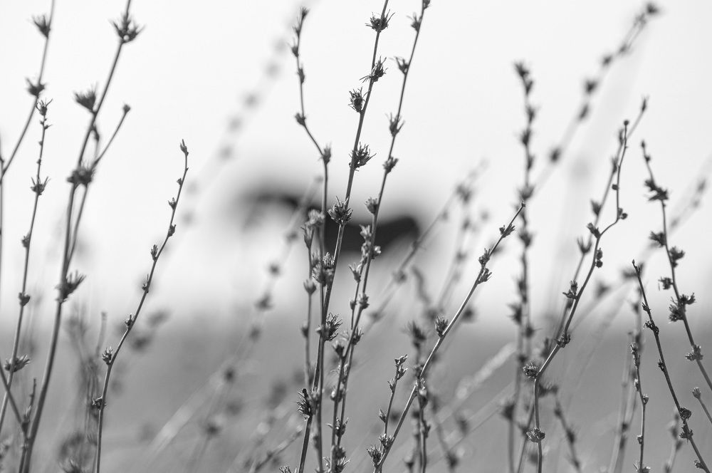 Фотография автора Ковяк Сергей Васильевич