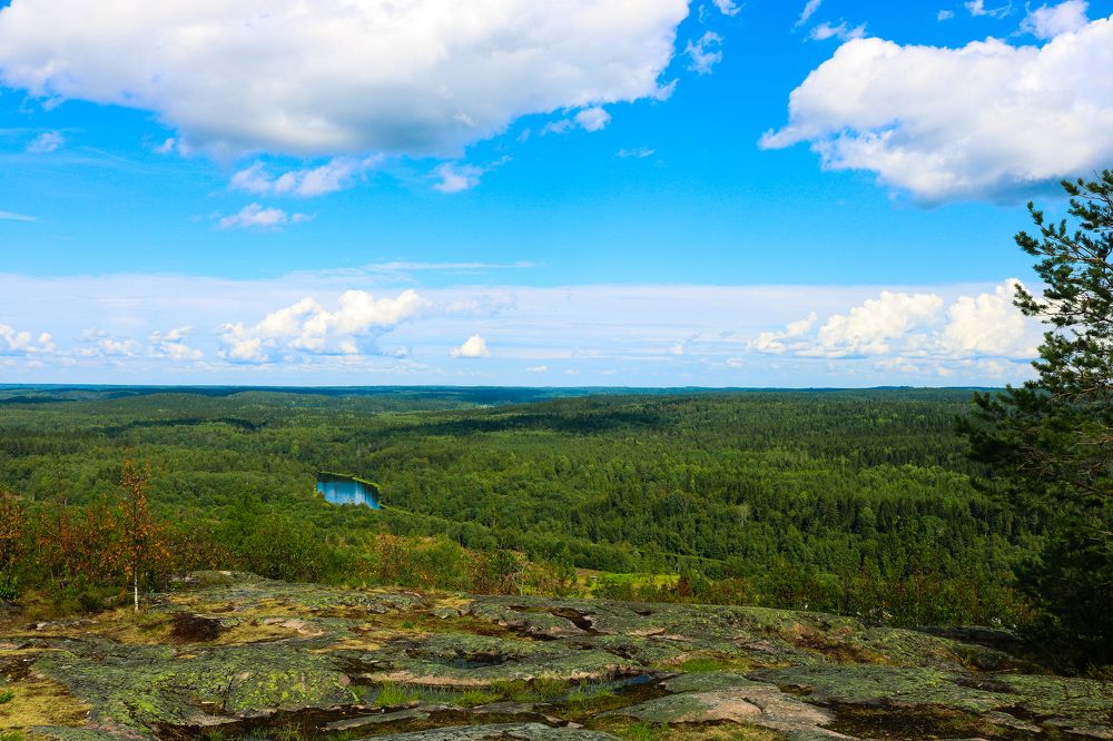 Photograph by Алексей Резниченко