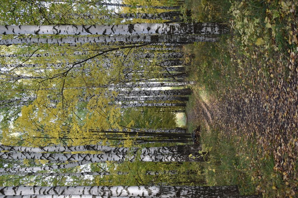 Photograph by Сергей Головин