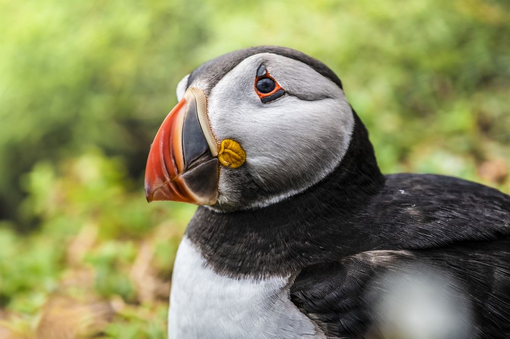 Photograph by Vitaliy Tuzov