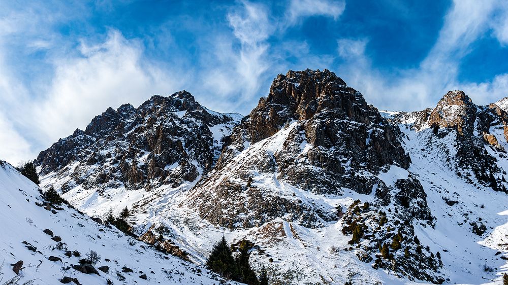 Фотография автора Владимир Душанц