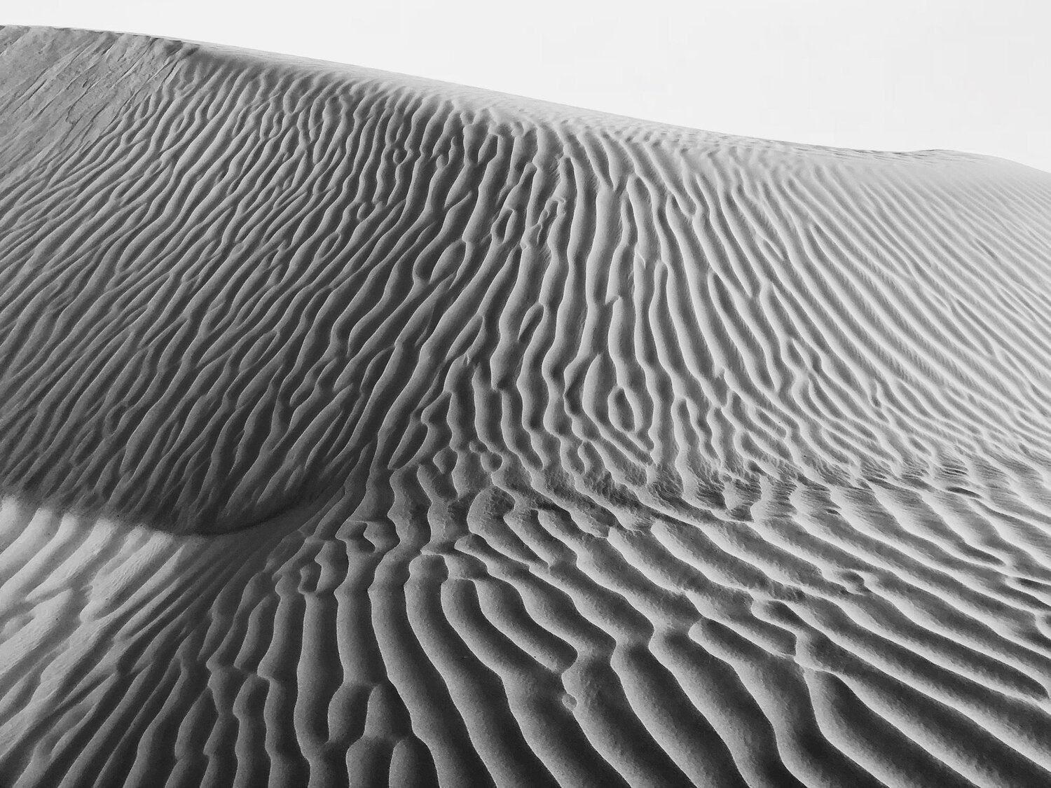 Photo #5743699