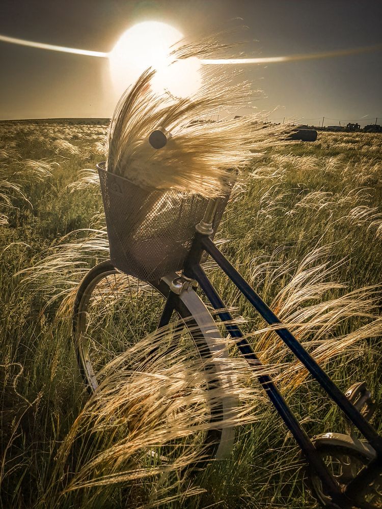 Photograph by Ольга Лахтина