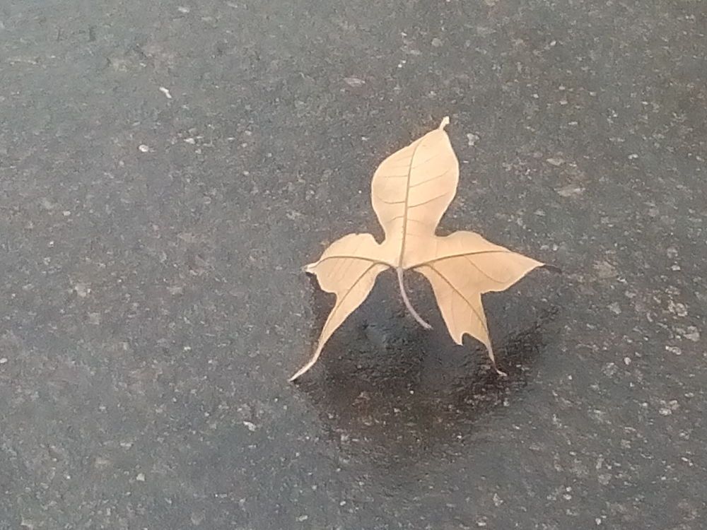 Photograph by Оксана Джураева