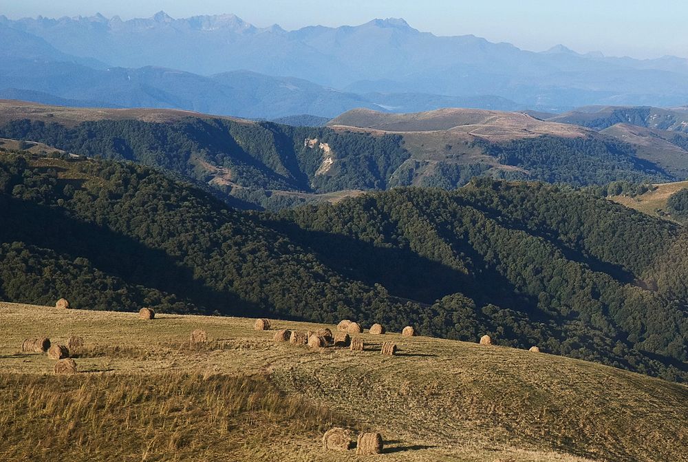 Фотография автора Валентина Харламова