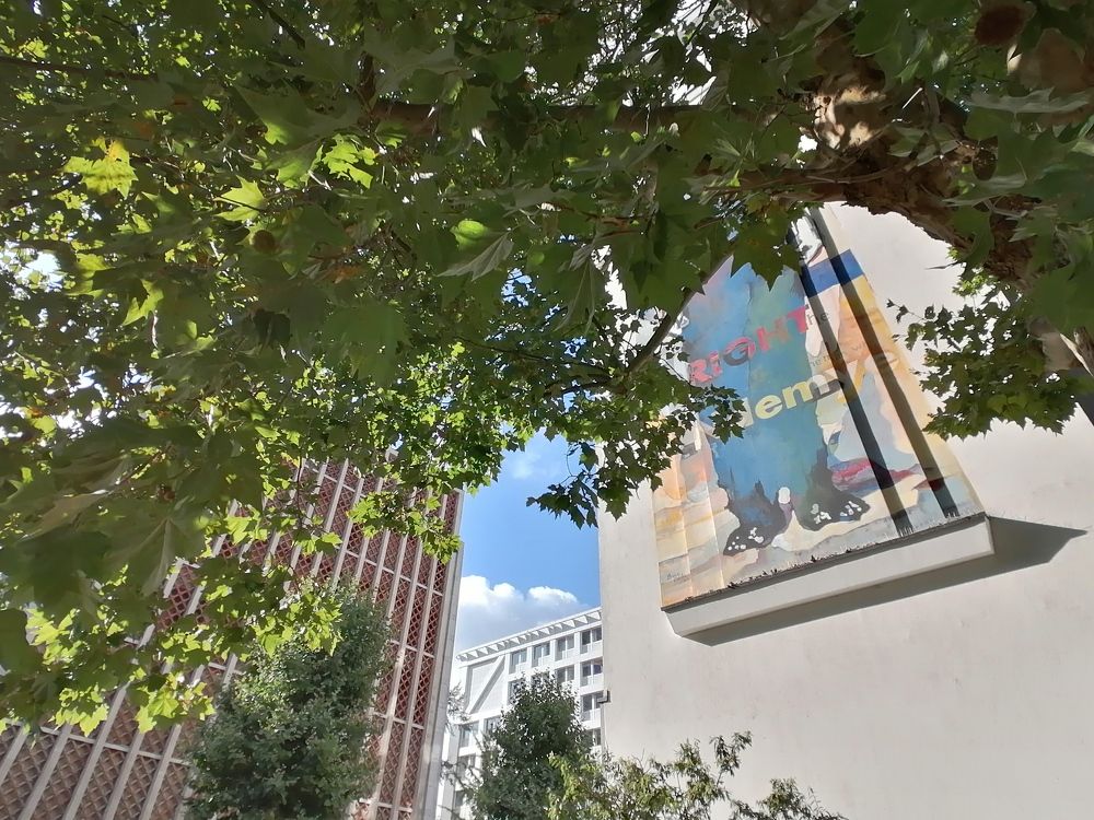 Photograph by François Mastrorilli