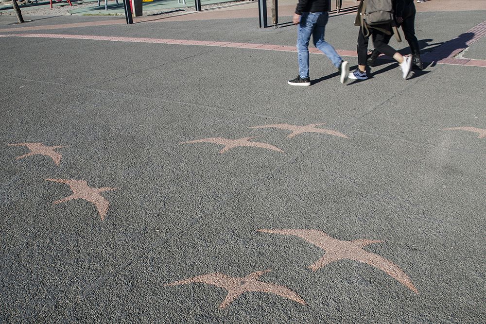 Photograph by Oktay DEMIRBAS