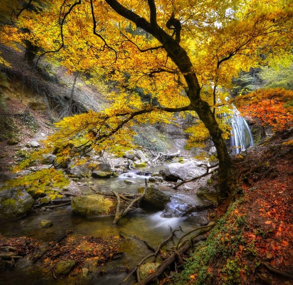 Photograph by Людмила Сиденко