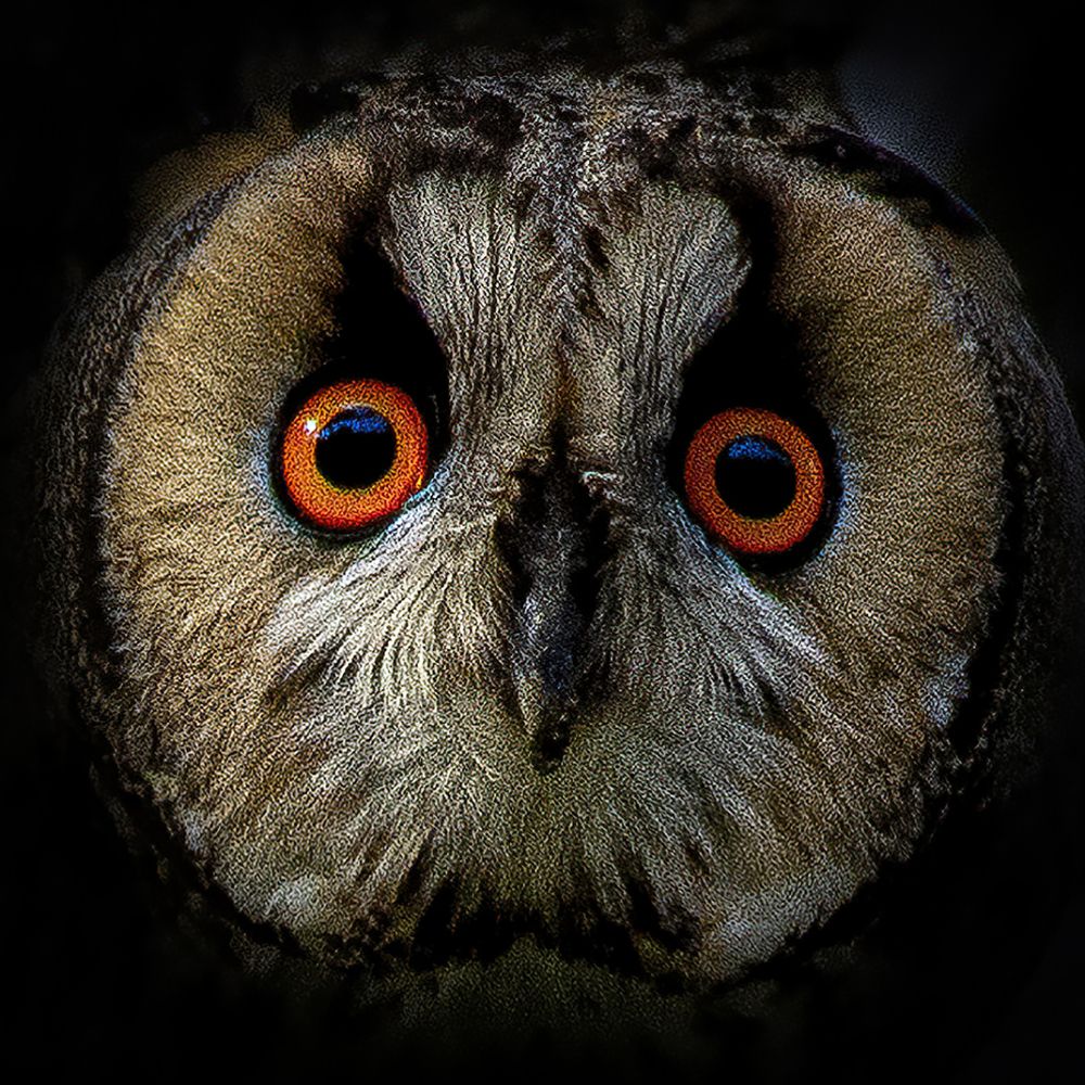 Photograph by Slavko Rošul