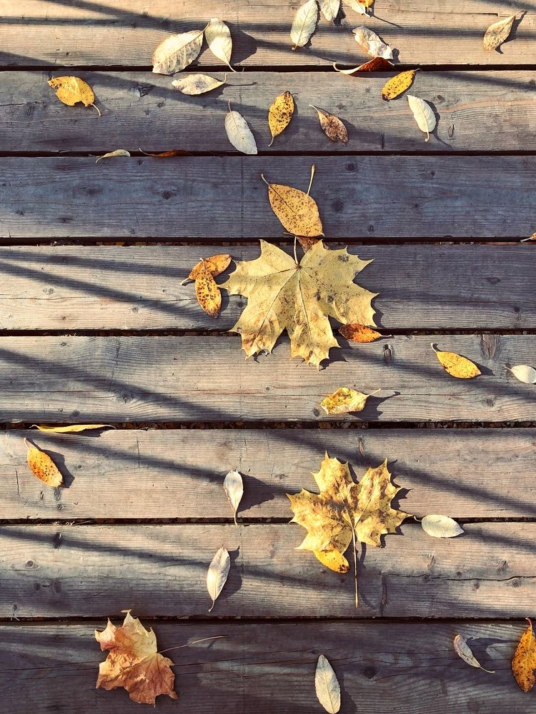 Танец теней