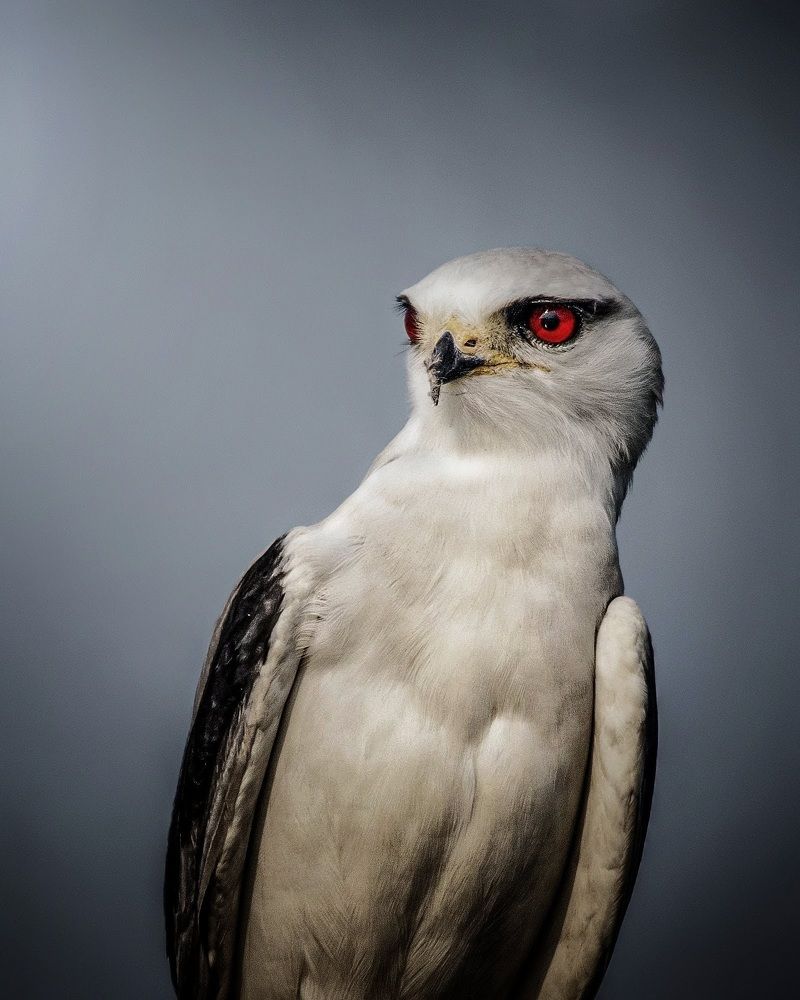 Photograph by Madhurya Mozumder