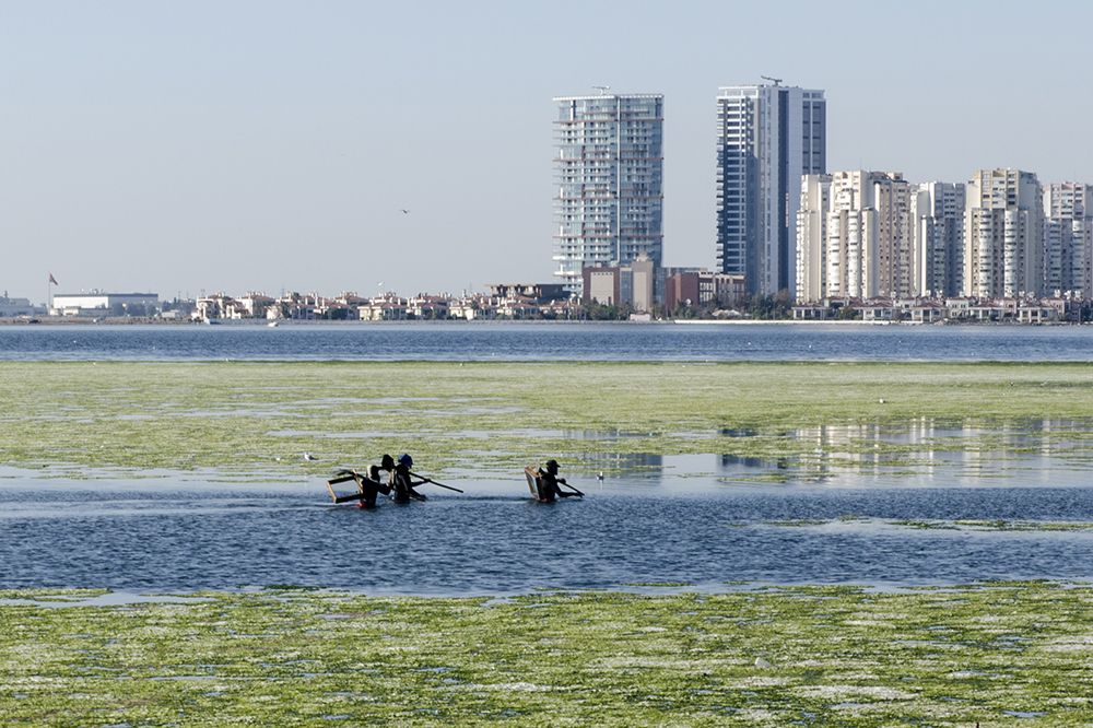 Photograph by Oktay DEMIRBAS