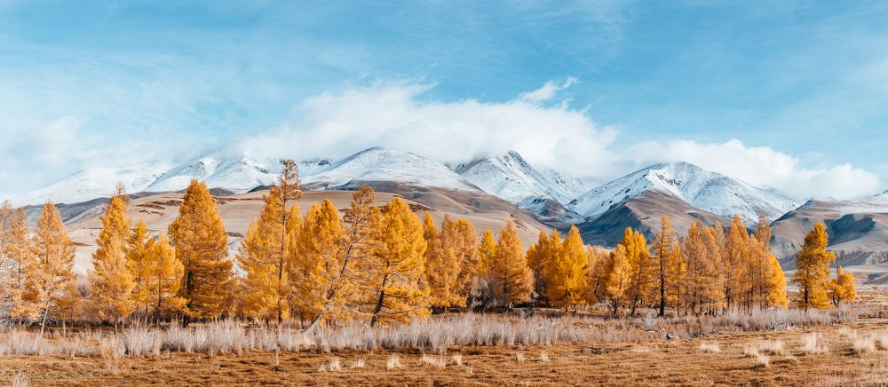 Photograph by Алеся Осадчая