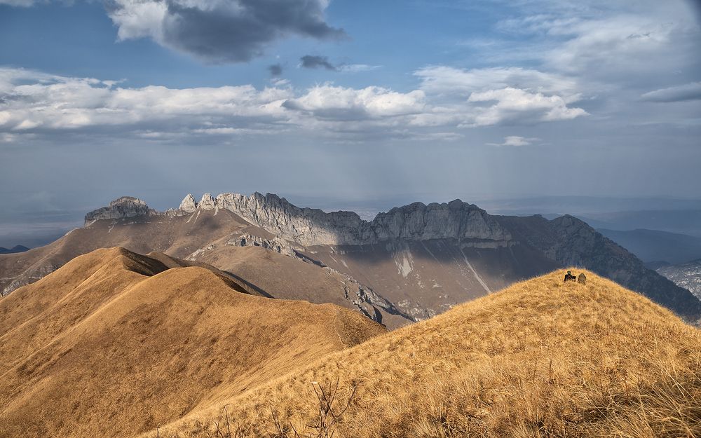 Самоизоляция