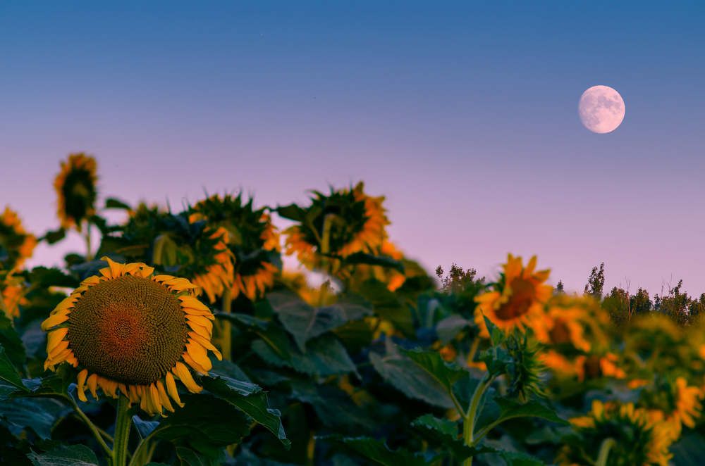 Photograph by Lubomir Lenko