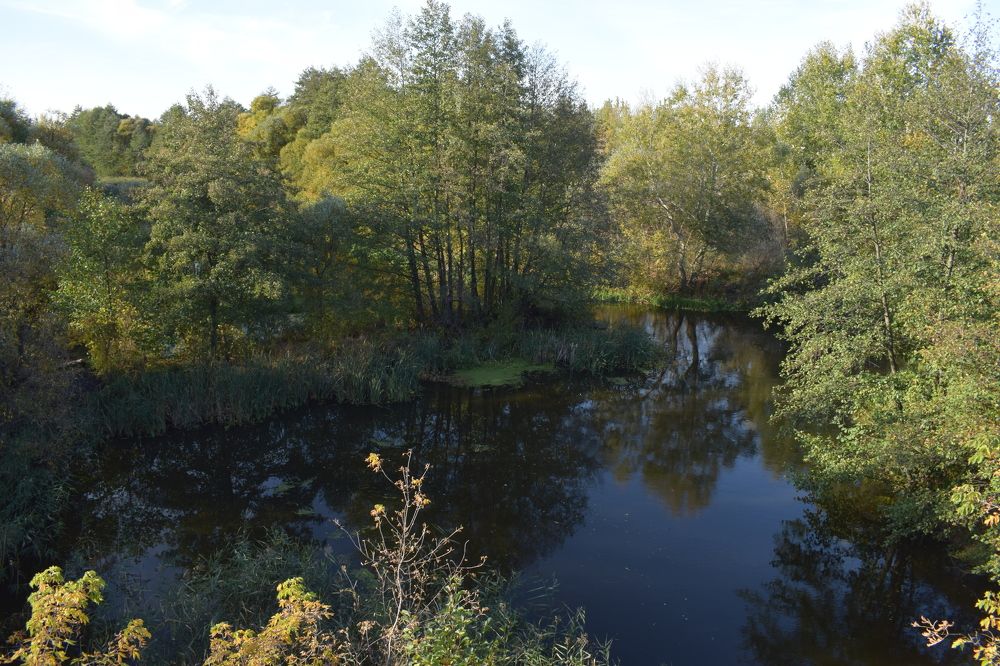 Photograph by Наталия Чайка