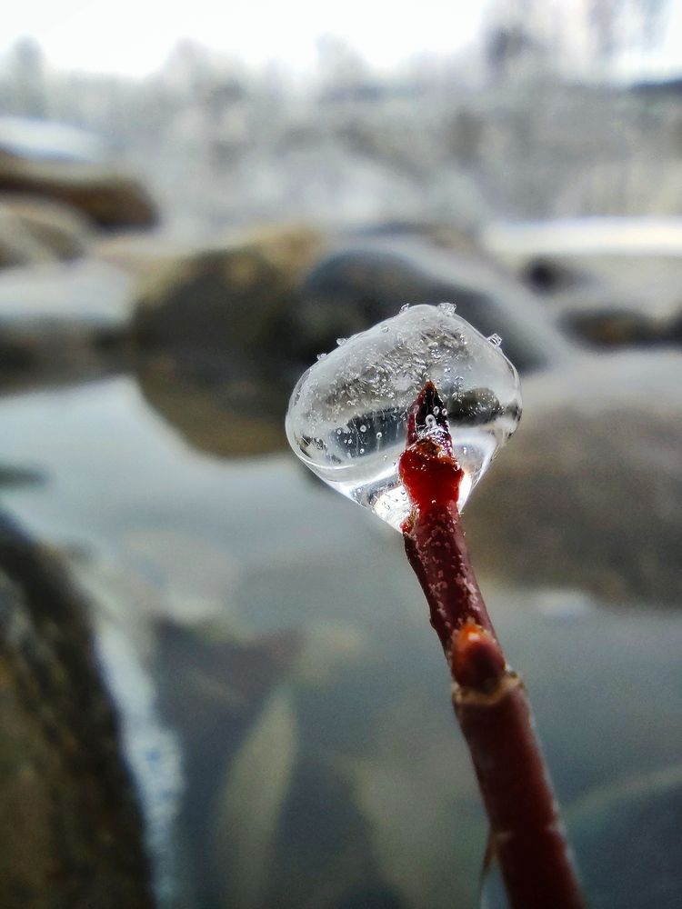 Photograph by Владимир Караман