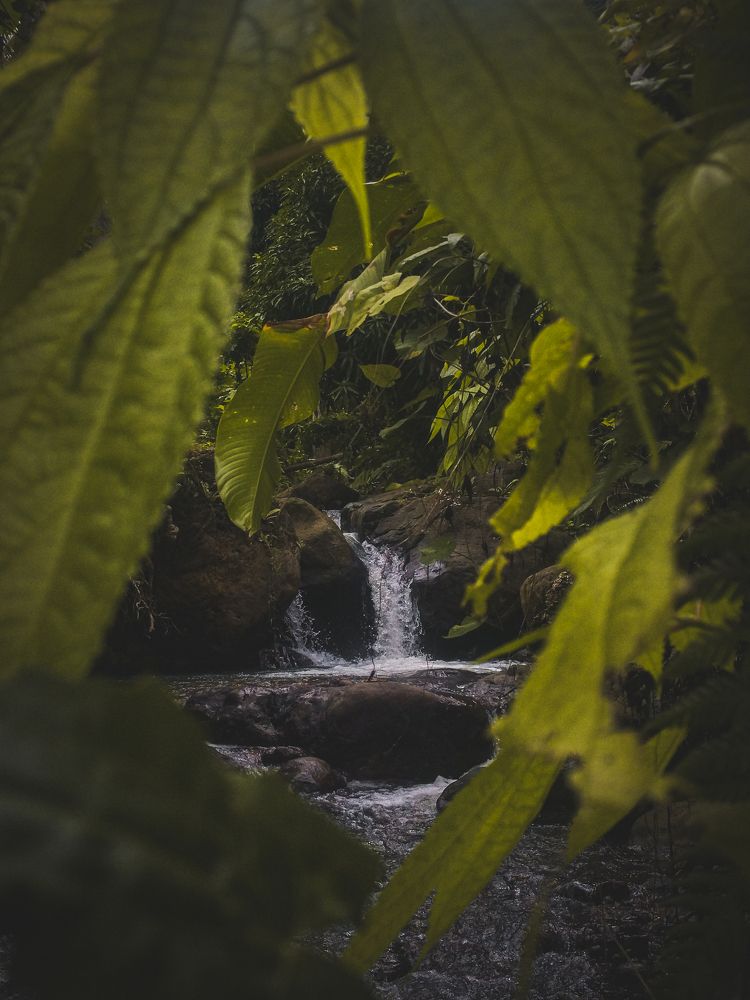 Photograph by Vandy Paul