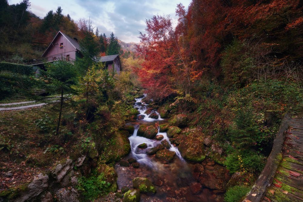 Photograph by Konstantin Voronov