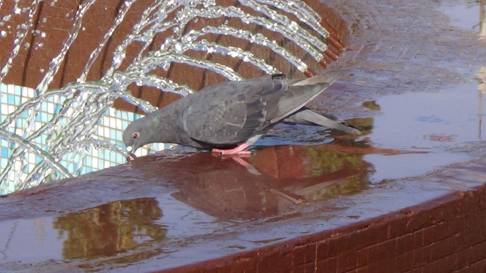 Photograph by Оксана Джураева