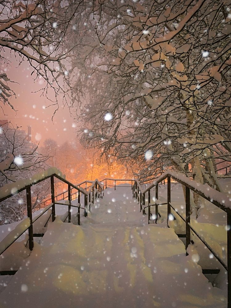 Снежная сказка.