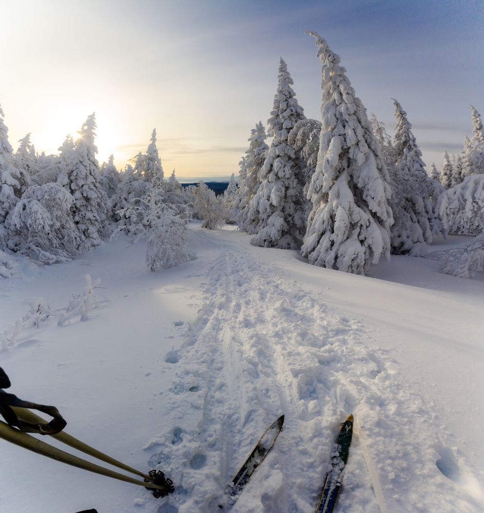 Photograph by Крепак Алексей