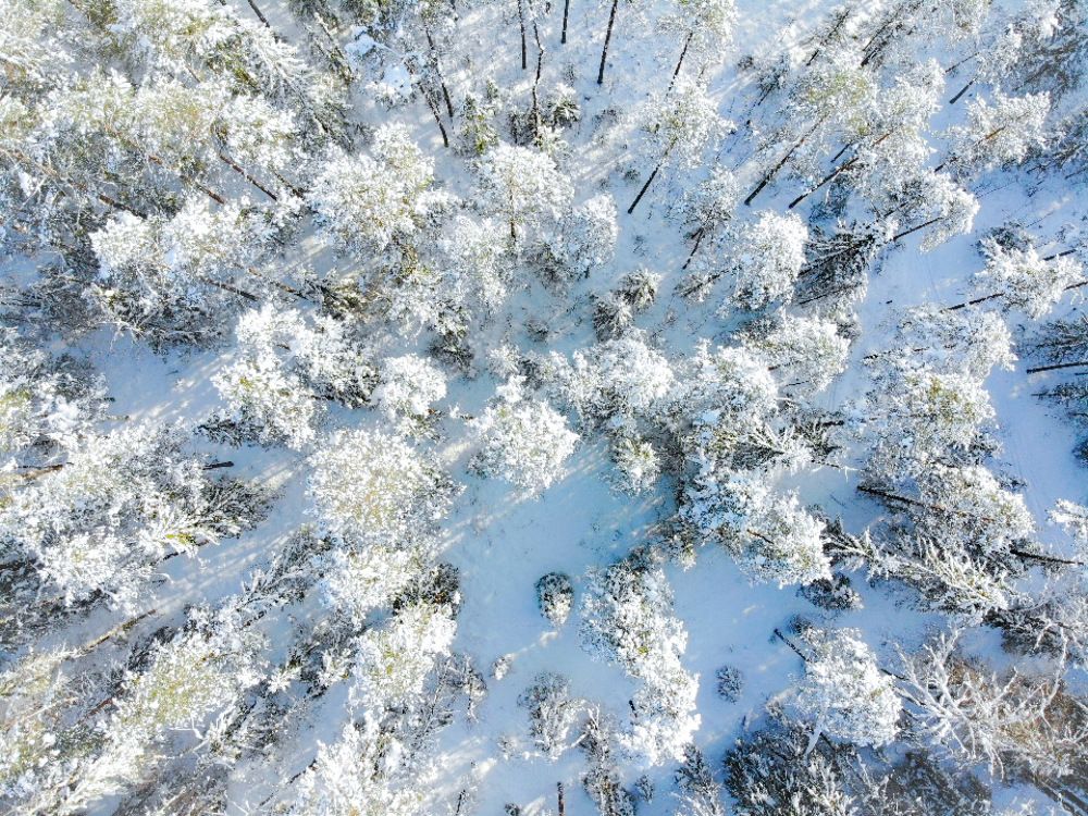 Зимний пейзаж с квадрокоптера. Ленинградская область ,Санкт-Петербург, Россия