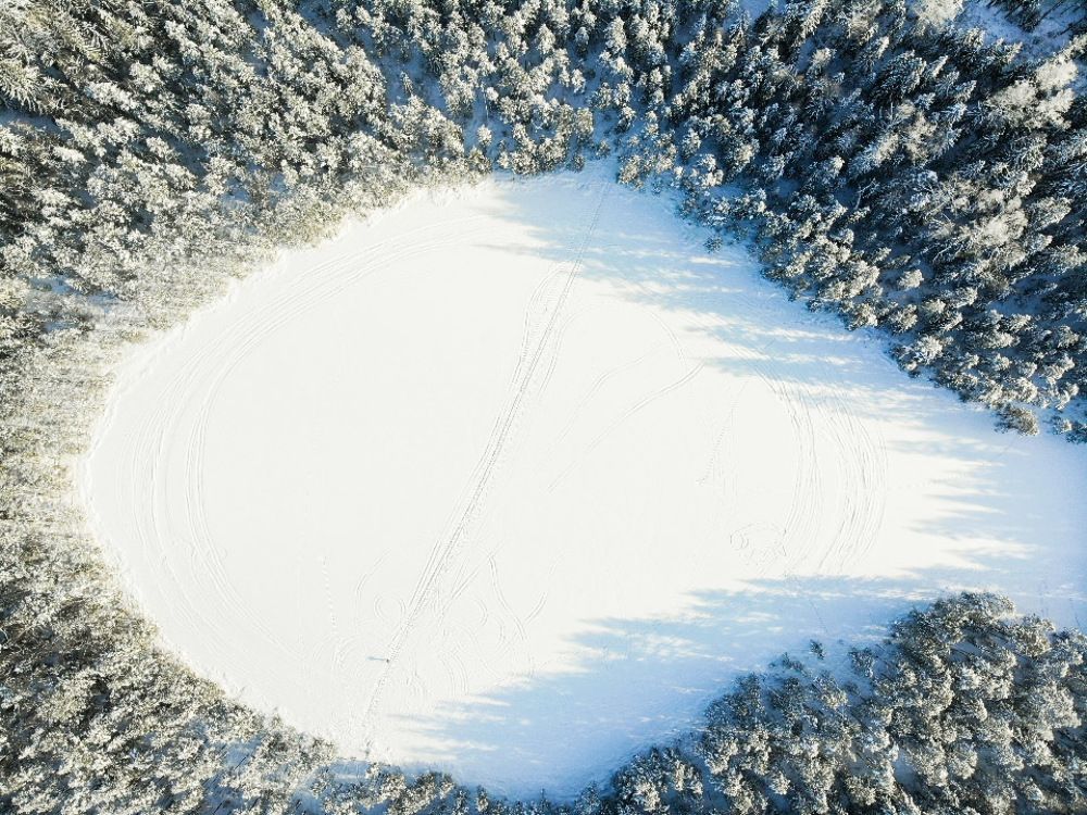 Лыжня в лесу проходящая через  белоснежное озеро